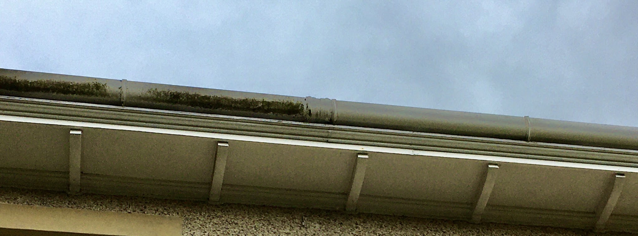 A run of mossy guttering and soffit on a house